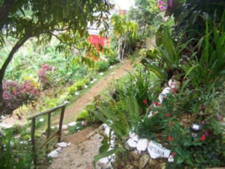 The Gardens at Ahhh...Ras Natango