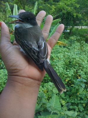 Click Other Photos To Enlarge