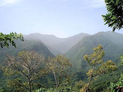 Panoramic view of the Grand Ridge of the Blue Mountains
