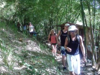 Hikers exiting the Bamboo Grove Camp Site
