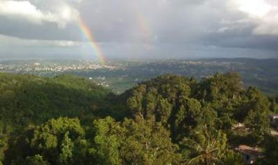 The View Over Montego Bay from Camrose
