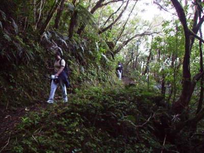 Blue Mountain Peak Trail