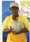 A Breadfruit